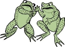 graphic image of a pair of amphibian frogs