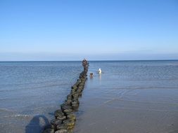 Baltic Sea bank