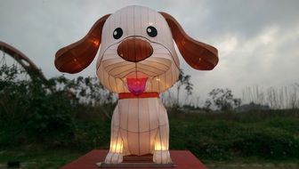 The Lantern Festival Dog