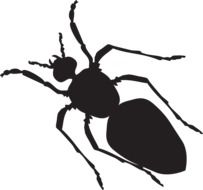 Clipart of Black Silhouette of ant as an illustration