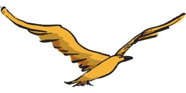 Yellow Bird Flying drawing