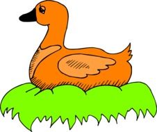 Orange Duck Sitting on grass, vector drawing