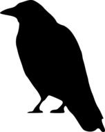 painted black crow on a white background