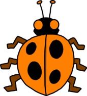 Ladybug Orange drawing