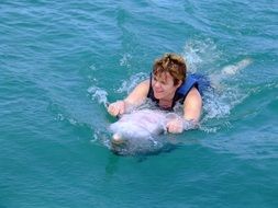 swimming with dolphins