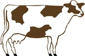 Cow Dairy Animal drawing