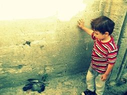 Child looking at Dead bird