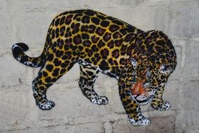 leopard on the wall