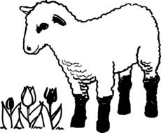 Tulips Flowers Farm Lamb drawing