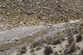 Andes Peru