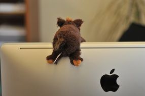 plush toy on ipad