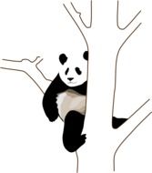 panda sits on a tree branch