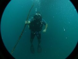 man dives deep in the water