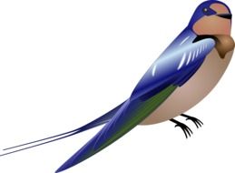 graphic image of a swallow with blue wings