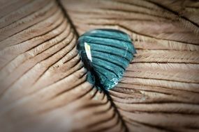 blue water drop on a feather background