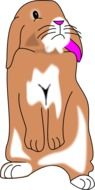 attractive Rabbit drawing
