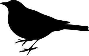 Bird Black Silhouette vector drawing