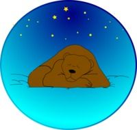 sleeping bear against the starry sky