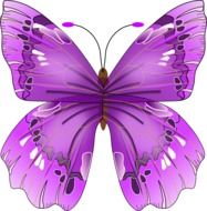 artistic image of a purple butterfly