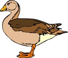 painted brown beige duck