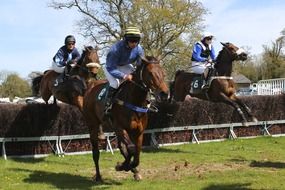 horse racing on a sunny day