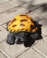 Turtle with yellow panzer