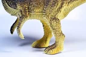 Legs of Tyrannosaurus
