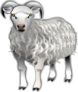 drawing of a gray sheep on a white background