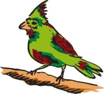 Red and Green Bird Perched branch, illustration