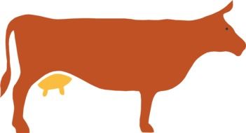 painted orange cow