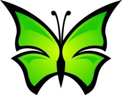 Picture of green butterfly