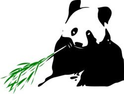 Panda Bears Wildlife drawing