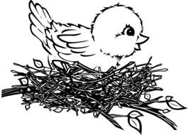 painted chick in the nest