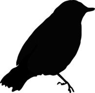 black silhouette of bird on white background