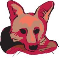 fox muzzle drawing