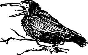 black and white graphic image of a croaking crow