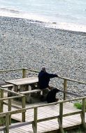 old Man with black Dog on wooden walk path at pebble beach