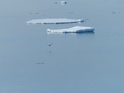 Ice floe in the Norwegian Sea