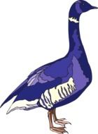 Blue and purple goose