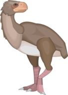 graphic image of a large ancient bird