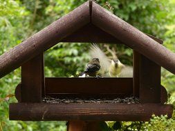 Wooden aviary for the birds in a garden