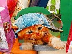 gift bag with image of a kitten
