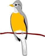 Bird with orange breast on Branch, drawing