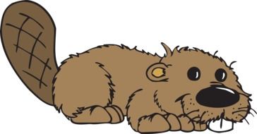 funny cartoon drawing beaver