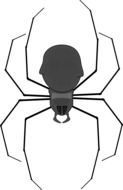 Black and grey spider drawing at white background