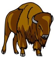 Bison Buffalo as a drawing