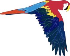 colorful Parrot in Flight, illustration