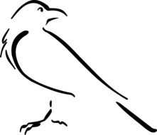 Crow drawing