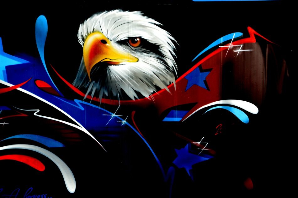 beautiful eagle head graffiti with the stars
