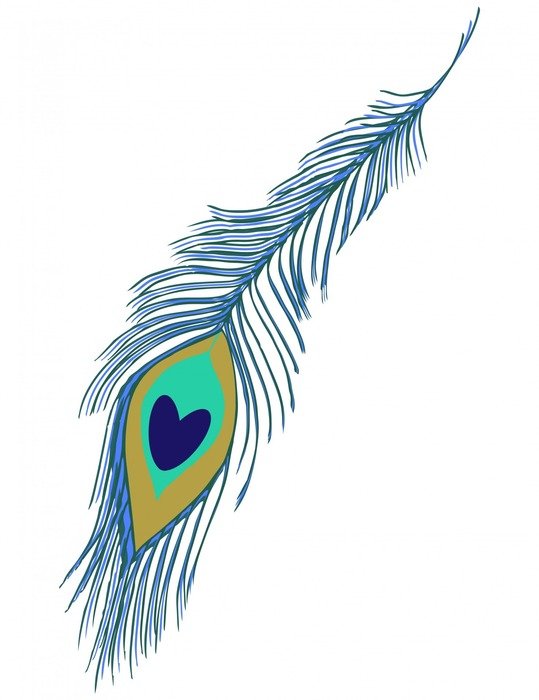 İllustration of Beautiful Peacock Feather